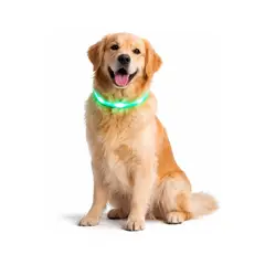 GENERICO - Collar LED Perro USB Recargable 51 cm 10-25 kg - Naranja - M