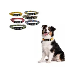 GENERICO - Collar Perro Nylon Ajustable M 36-58 cm Wonder Dog - Multicolor