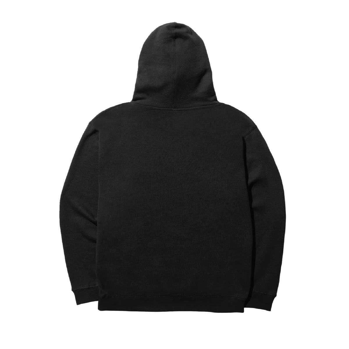 STANCE - Polerón Hoodie Winged Black