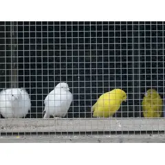 GENERICO - Malla Soldada 3/4" 0.9 x 30 Mt