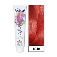 GENERICO - Tintura Itely Blossom Coloración Fantasía 60ml Rojo