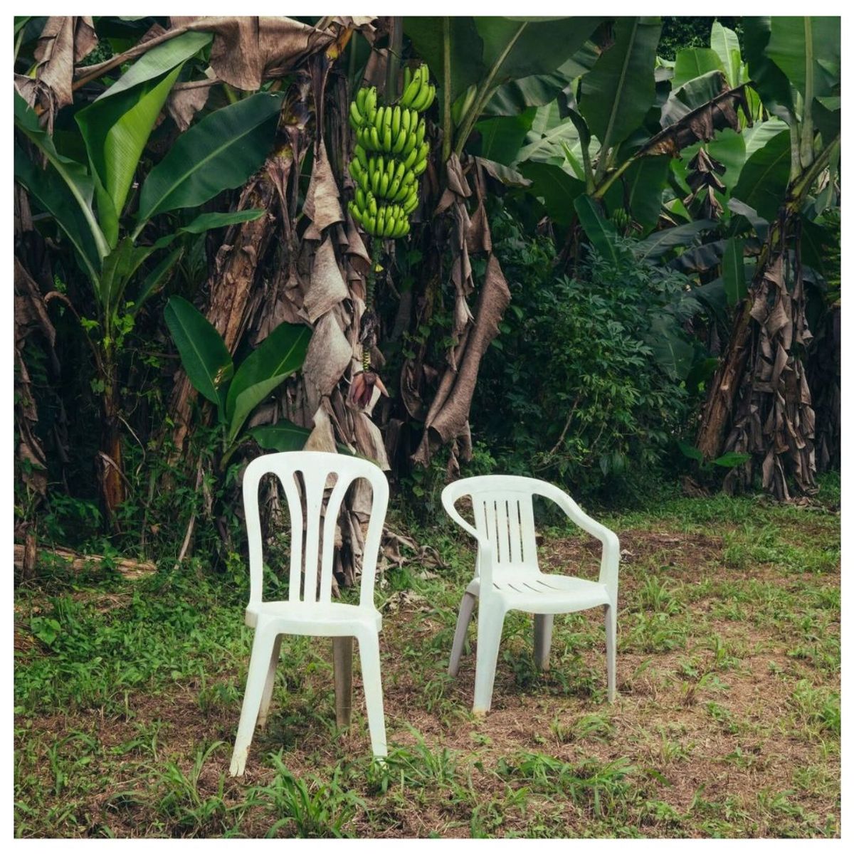 GENERICO - BAD BUNNY - DEBI TIRAR MAS FOTOS (2LP) / VINILO