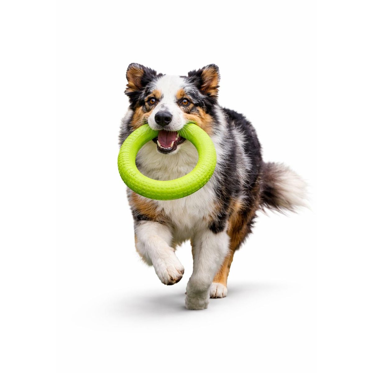 GENERICO - Anillo para Morder Perros EVA Flotante 27.5 cm