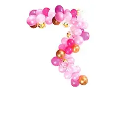 GENERICO - Arco de globos orgánico Rosa 61pcs