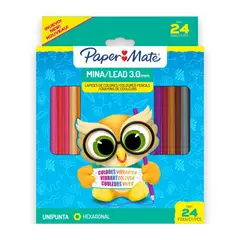 PAPER MATE - Lápices de Colores Hexagonal PaperMate 24 colores