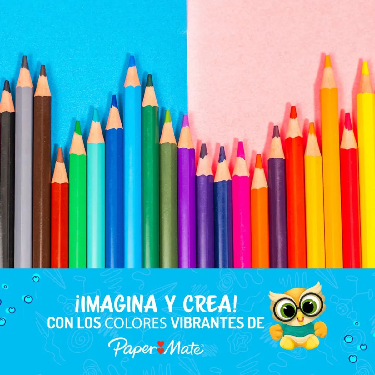 PAPER MATE - Lápices de Colores Hexagonal PaperMate 24 colores