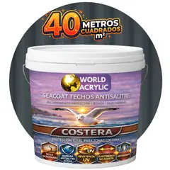 WORLD ACRYLIC - PINTURA TECHOS - SEACOAT TECHOS ANTISALITRE - GRAFITO - TINETA 10L