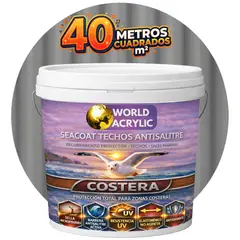 WORLD ACRYLIC - PINTURA TECHOS - SEACOAT TECHOS ANTISALITRE - GRIS - TINETA 10L