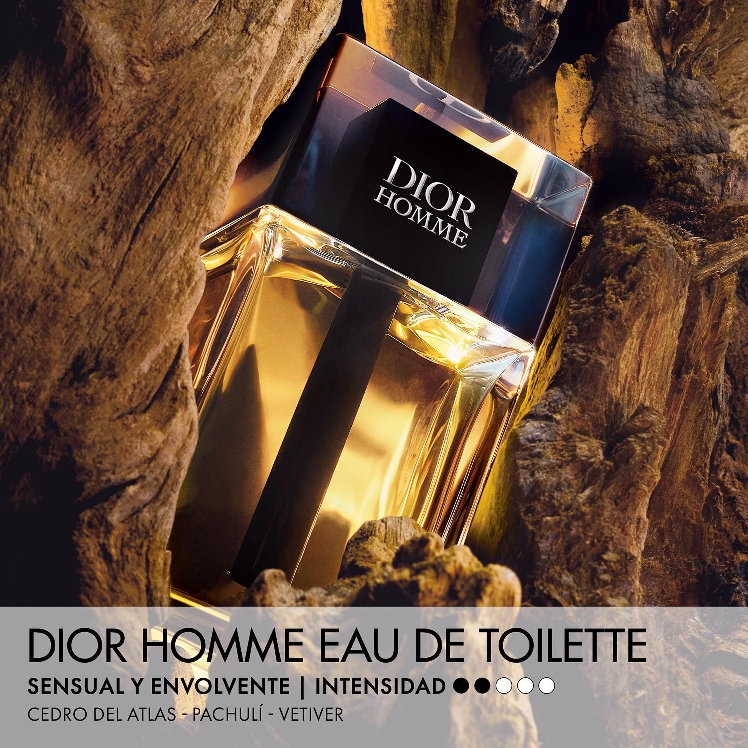 DIOR Perfume Hombre Dior Homme Edt 100 Ml | Falabella Chile