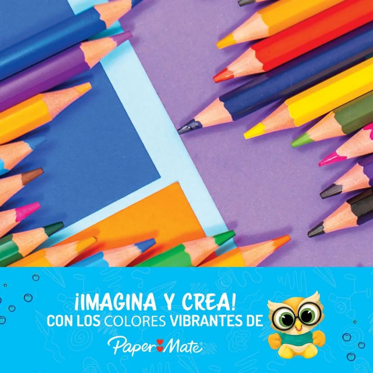 PAPER MATE - Lápices Colores Hexagonales Papermate 12 Color + 3 Grafitos