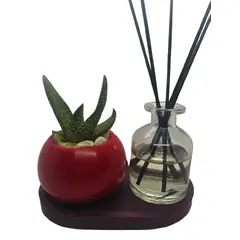 SCENTS CHILE - Set Suculenta Cuenco Rojo y Aceite Aromático Coco Vainilla