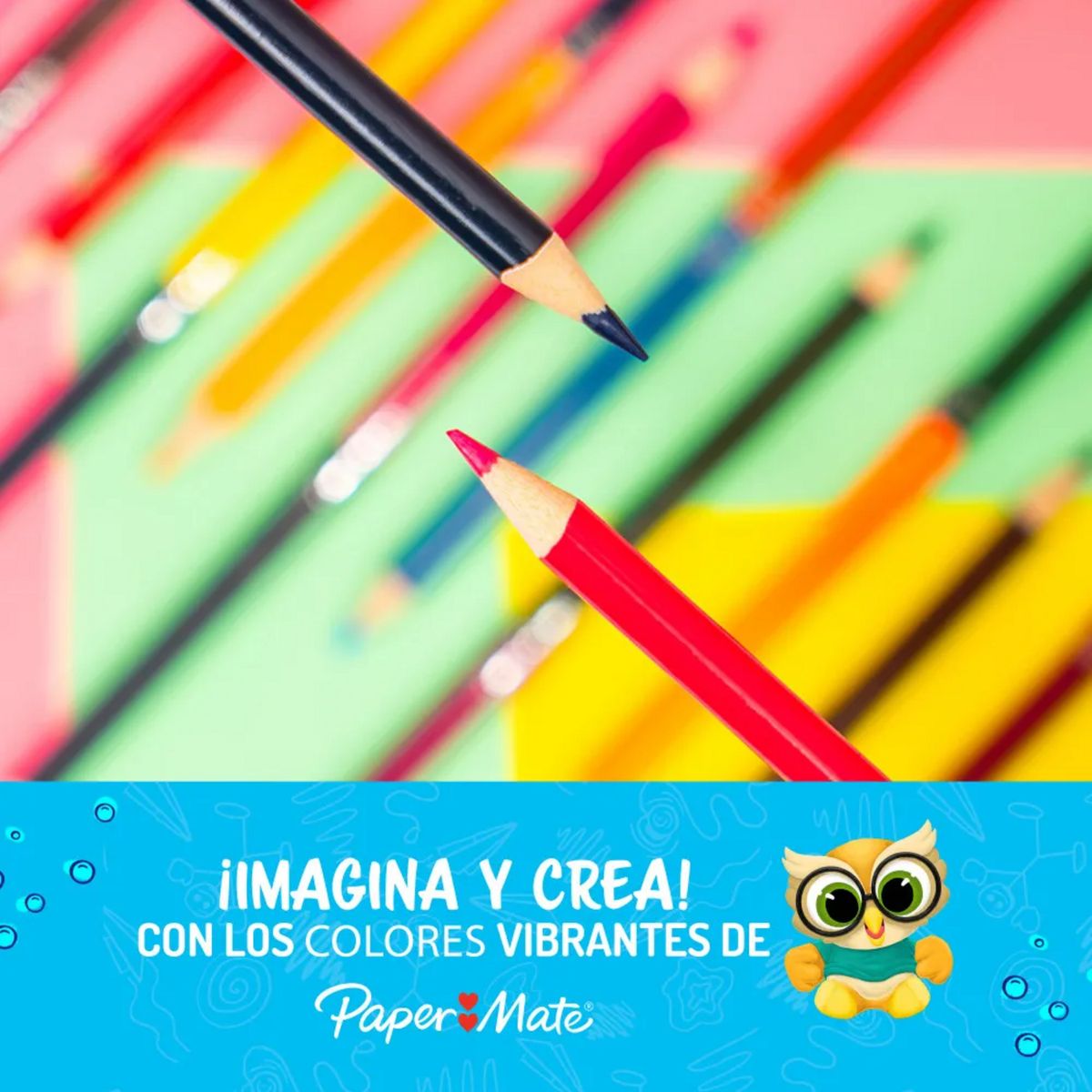 PAPER MATE - Lápices Colores PaperMate Redondos 12 Unidades Doble Punta