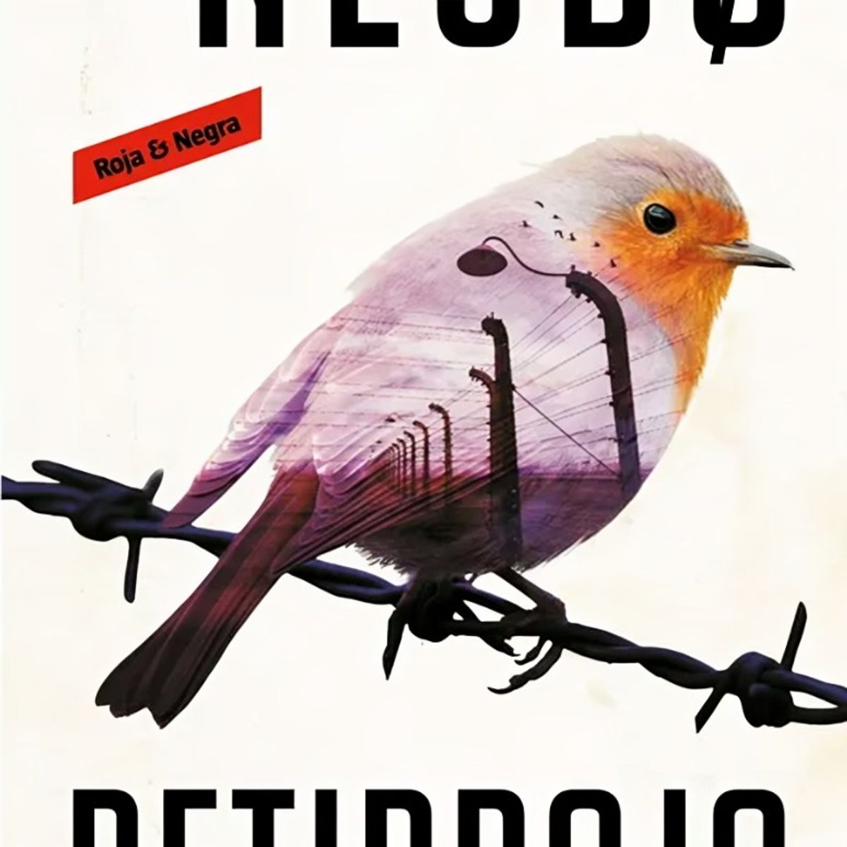 TOP10BOOKS - LIBRO Petirrojo (edición Black Friday) (harry Hole 3) - JO NESBØ