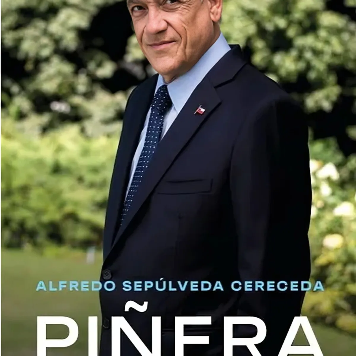 TOP10BOOKS - LIBRO Piñera - ALFREDO SEPÚLVEDA
