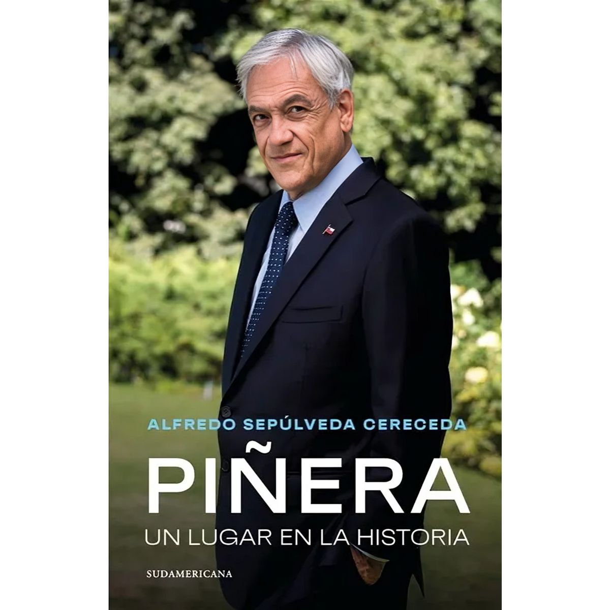 TOP10BOOKS - LIBRO Piñera - ALFREDO SEPÚLVEDA