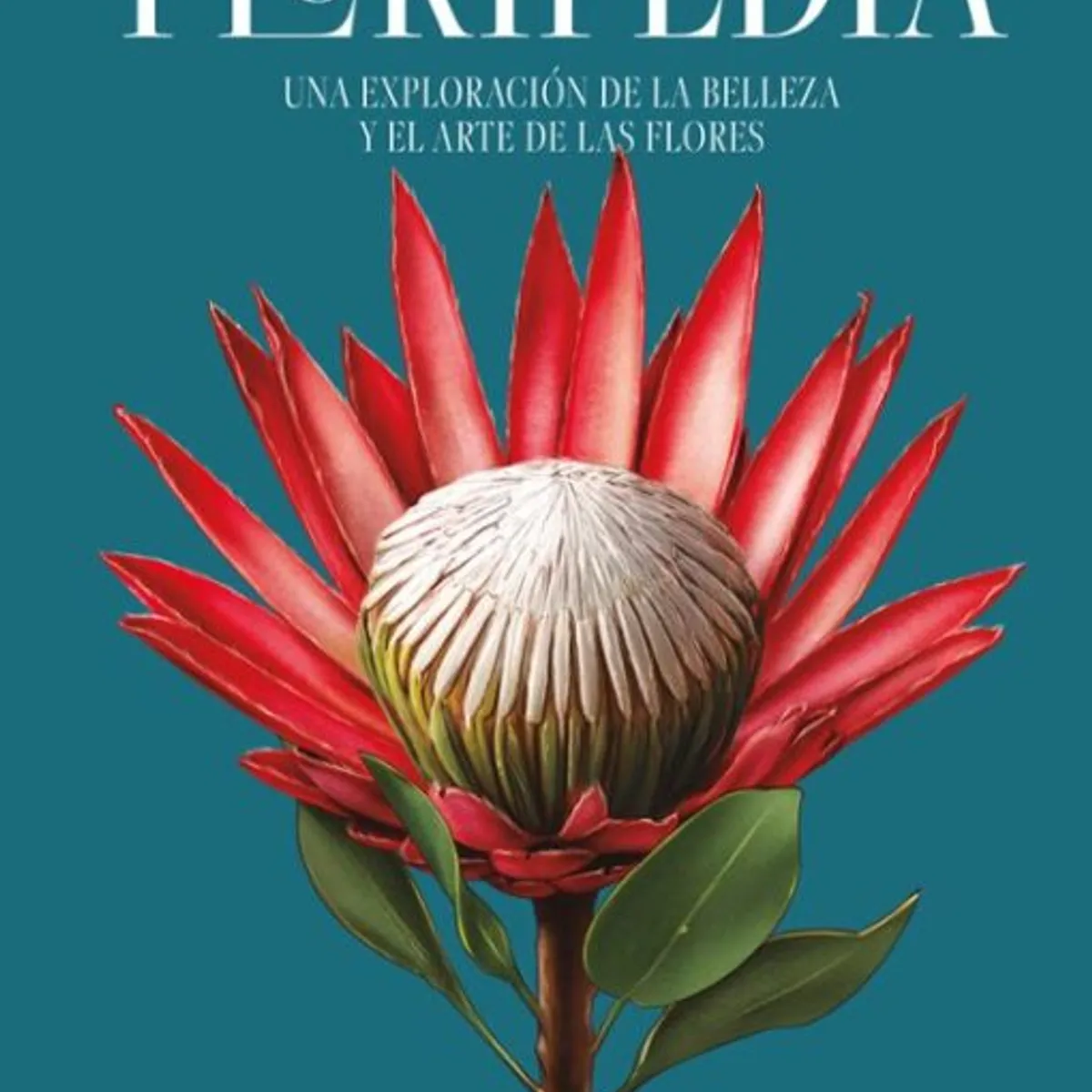 ANTARTICA LIBROS - Floripedia