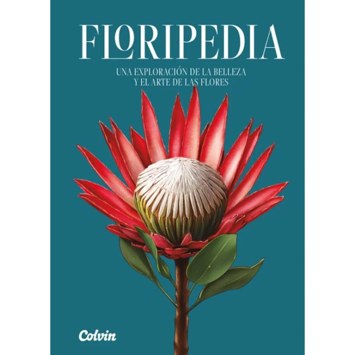 ANTARTICA LIBROS - Floripedia