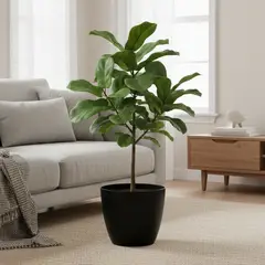BOSCO - Macetero Umbra 27 Blanco Set x3 Unidades –