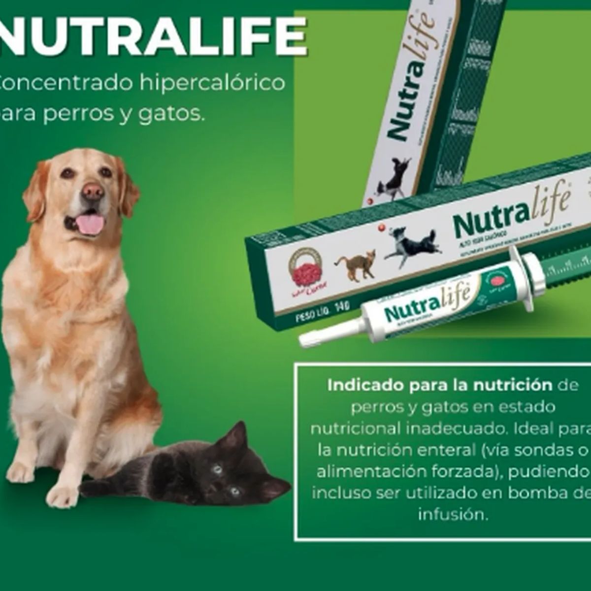 GENERICO - Nutralife Suplemento Calórico Jeringa Perro Y Gato 14Gr