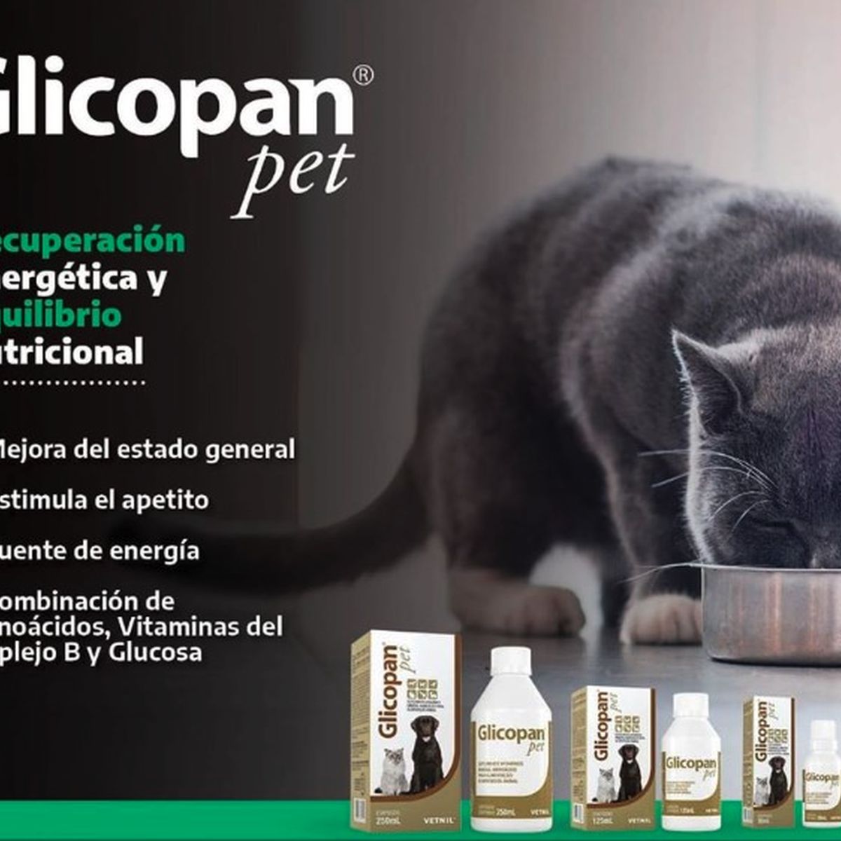GENERICO - Glicopan Pet Suplemento Perro Y Gato 125 mL Gotas