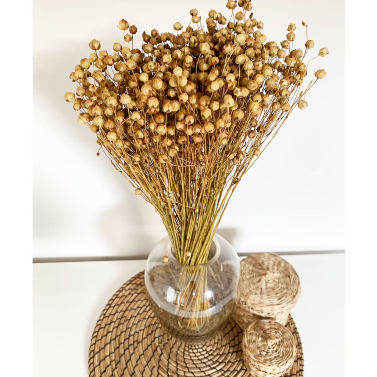 GENERICO - Flores Secas Naturales Boho Set 3 Ramos