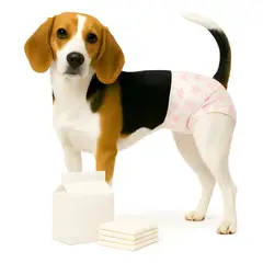 GENERICO - 10 Pañales Mascotas Talla M Alta Absorcion Ajuste Seguro Anti Fugas Comodidad Pro Uso Diario