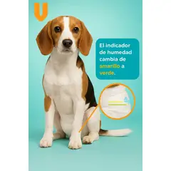 GENERICO - Solucion Higiene Mascotas Talla M Control Olores Limpieza Hogar Tranquilidad Dueños Uso Diario