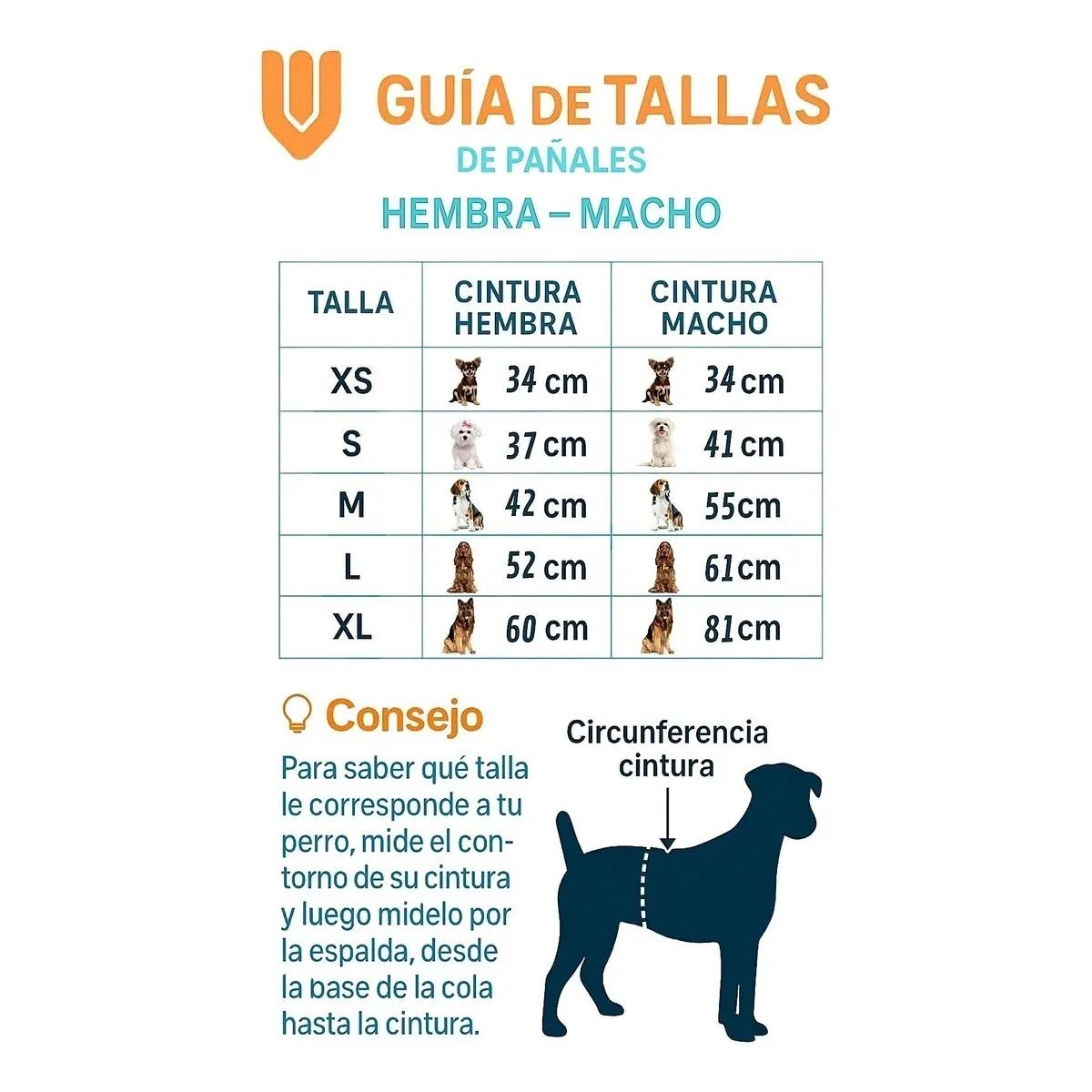 GENERICO - Higiene Total Mascotas Talla L Control Olores Hogar Limpio Tranquilidad Dueños Hembra Macho Comodo