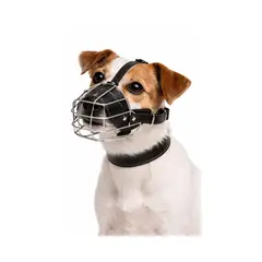 GENERICO - Bozal Perro Acero y Cuero Talla M (1) Perros 40 a 50 cm