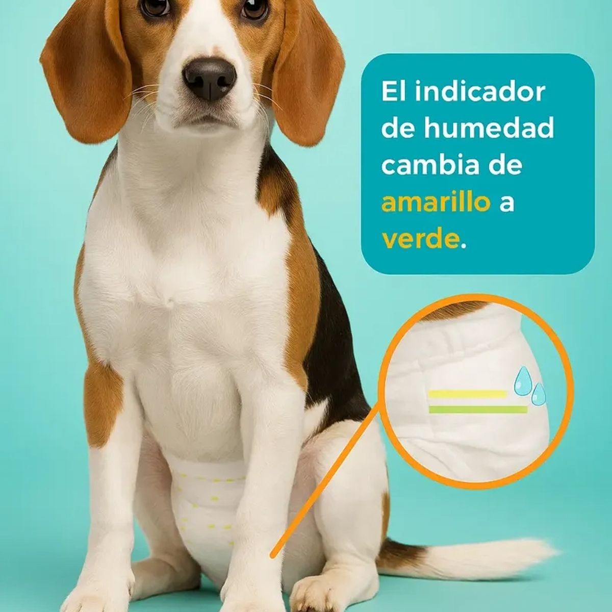 GENERICO - Pañales Perro Gato XL Entrenamiento Celo Viajes Incontinencia Mascotas Ajustable Comodo Hembra Macho