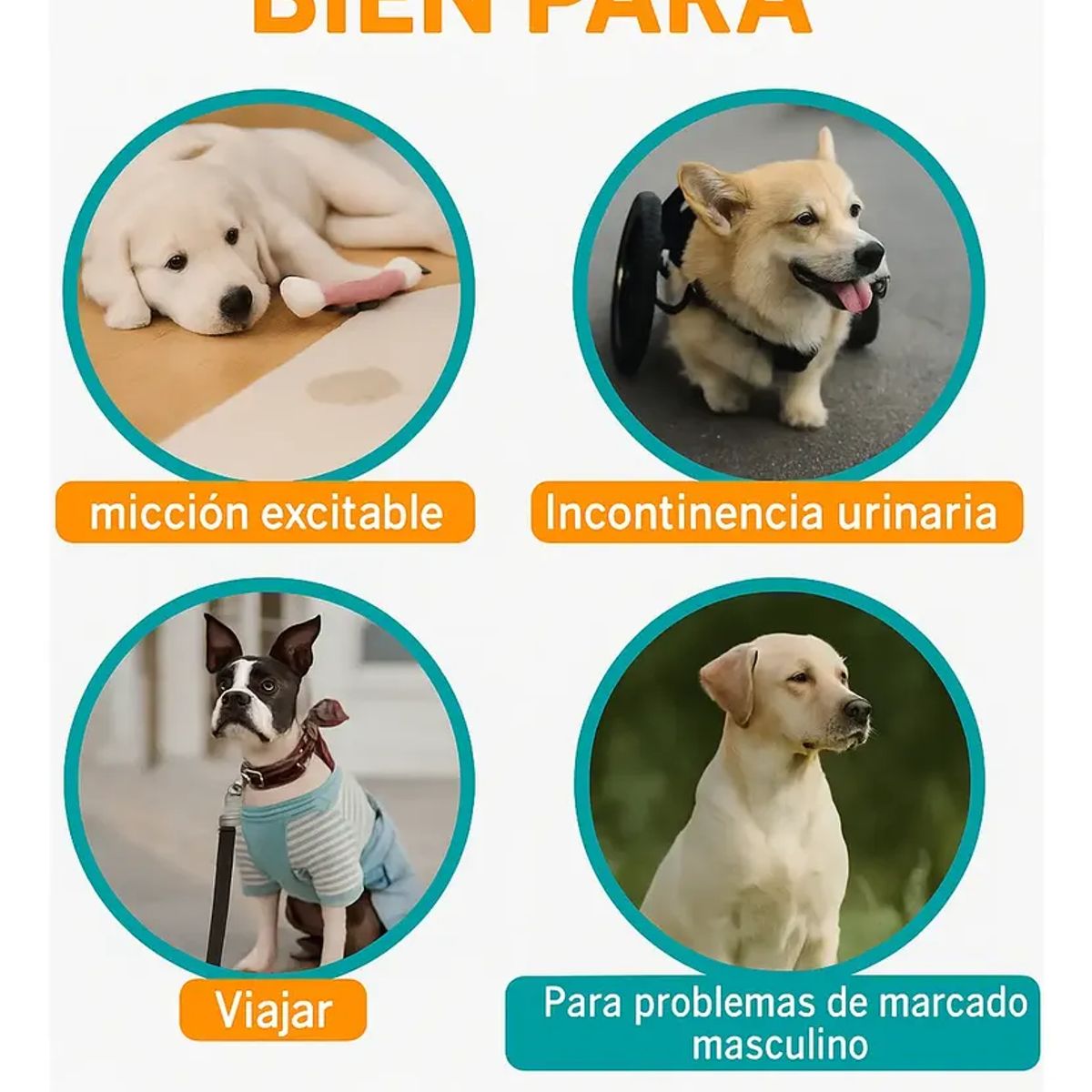 GENERICO - Higiene Total Mascotas Talla S Control Olores Hogar Limpio Comodidad Dueños Tranquilos Uso Diario