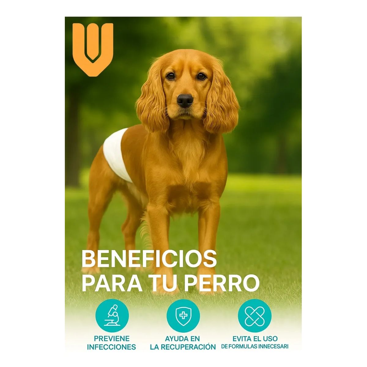 GENERICO - Pañales Perro Gato Talla L Entrenamiento Celo Viajes Incontinencia Mascotas Ajustable Comodo Seguro