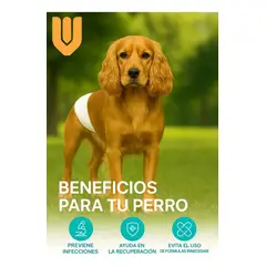 GENERICO - Pañales Perro Gato Talla L Entrenamiento Celo Viajes Incontinencia Mascotas Ajustable Comodo Seguro
