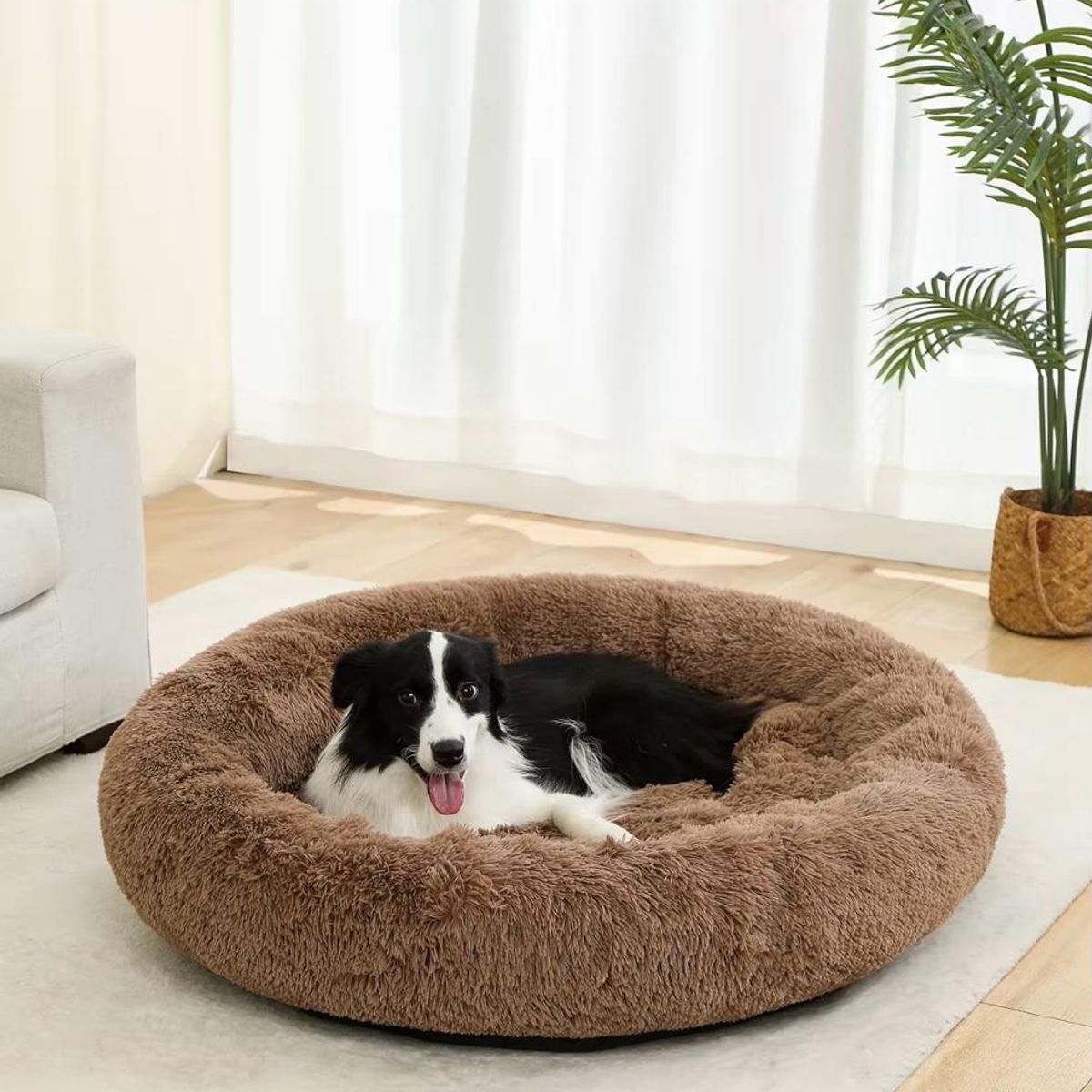 GENERICO - Cama Antiestrés Grande Para Mascotas Talla L 70cm Perros