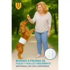 GENERICO - 12 Pañales Mascotas Talla XL Absorcion Alta Ajuste Seguro Anti Fugas Incontinencia Entrenamiento Uso