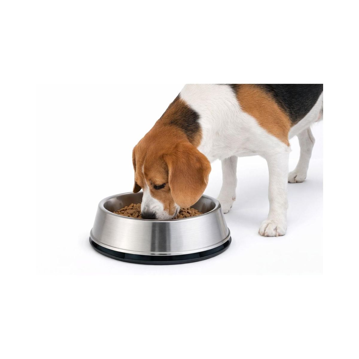 Plato Antihormigas Acero Inoxidable Mascotas XXL 2.7 L, marca GENERICO - Foto Principal
