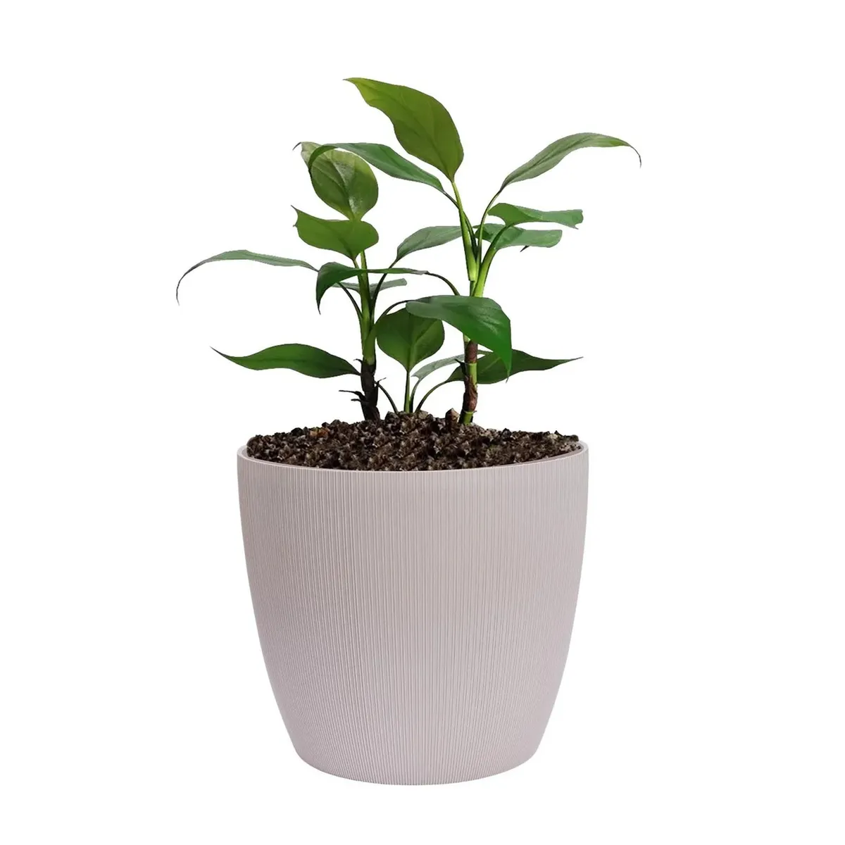 BOSCO - MACETEROS VERCELLI 27 PIEDRA GRIS x 3u