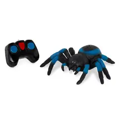 TERRA - Tarántula - Azul