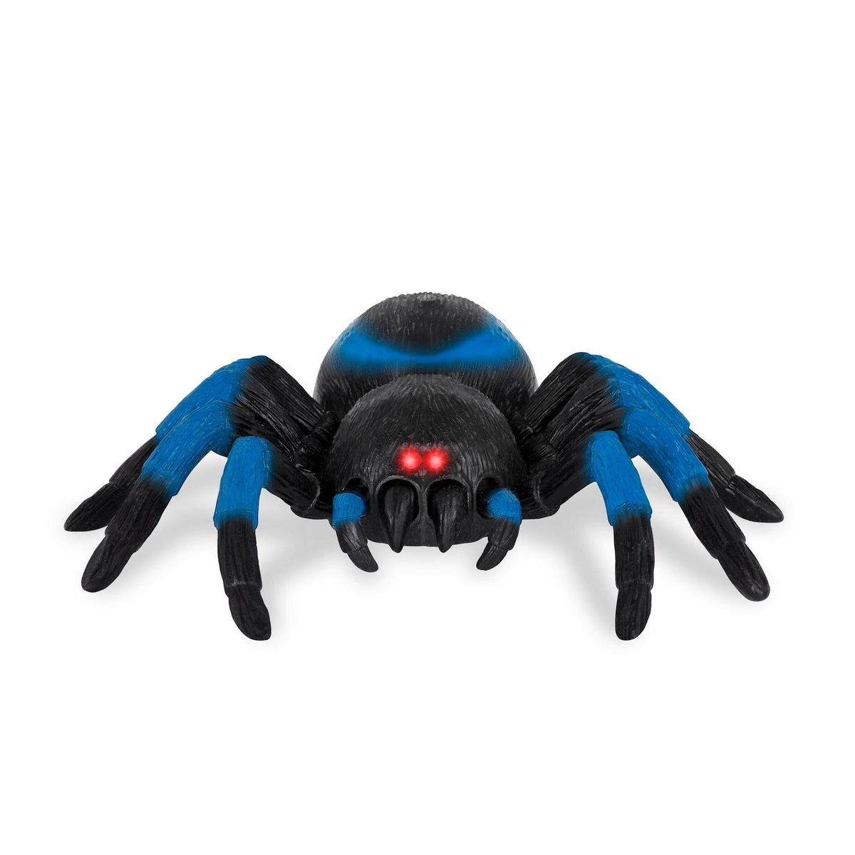 TERRA - Tarántula - Azul