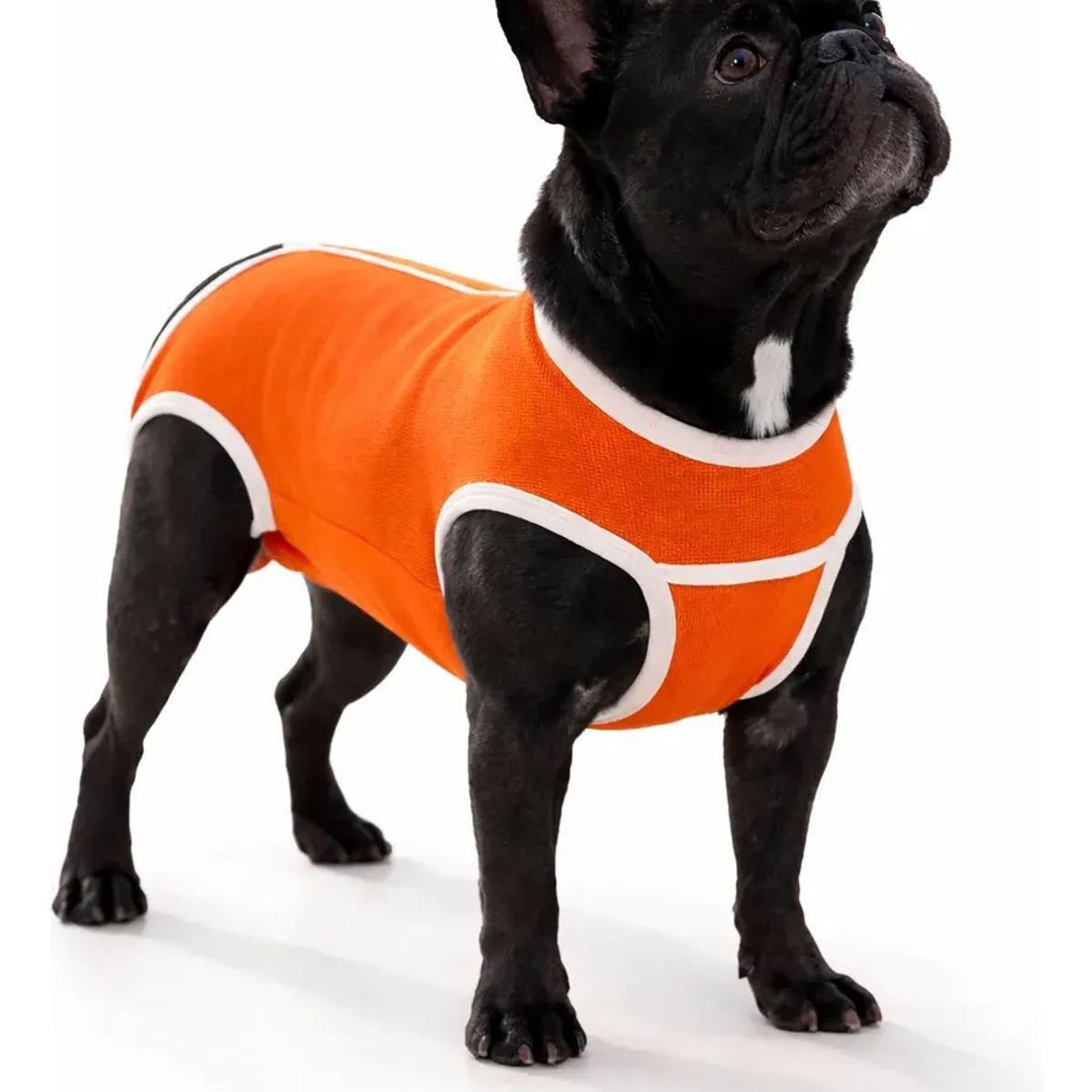 GENERICO - Ropa Quirurgica Perros Recuperacion Cirugia Abdominal Talla S