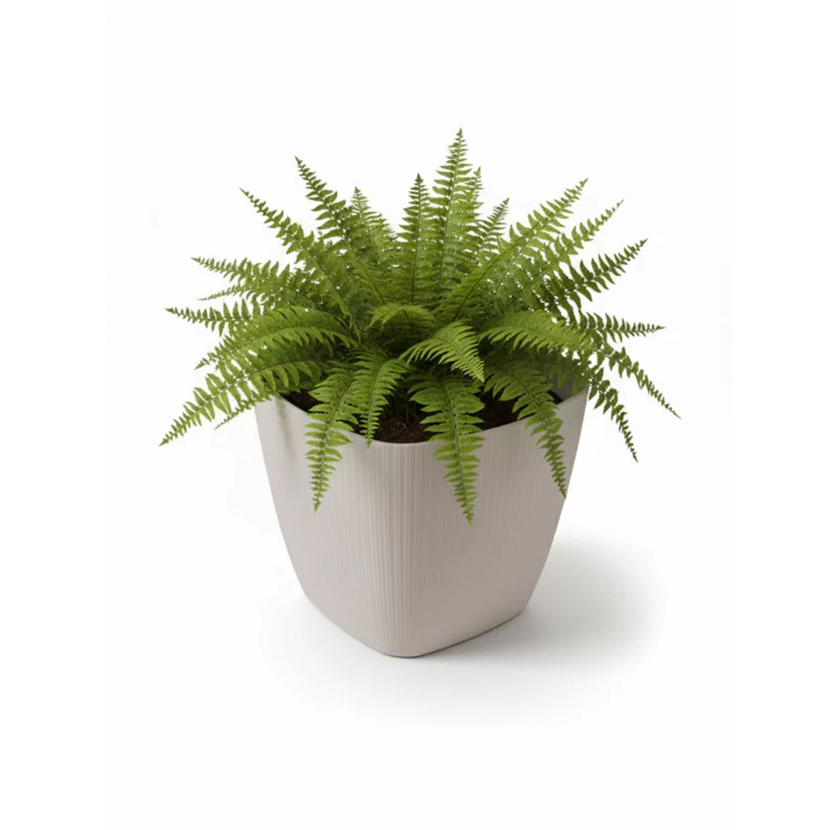 BOSCO - Macetero Vercelli Cuadrado 18 Blanco Set x3 Unidades – Bosco