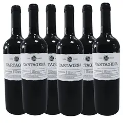 GENERICO - 6x Vinos Casa Marin Cartagena Carmenere 750 cc