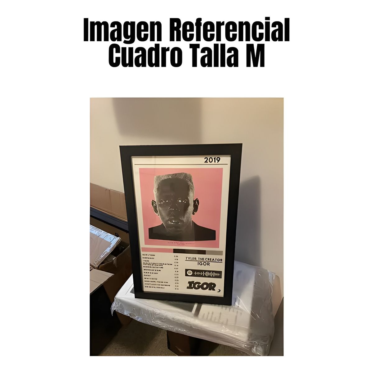 GENERICO - Cuadro Tyler The Creator Igor 24x36 cm