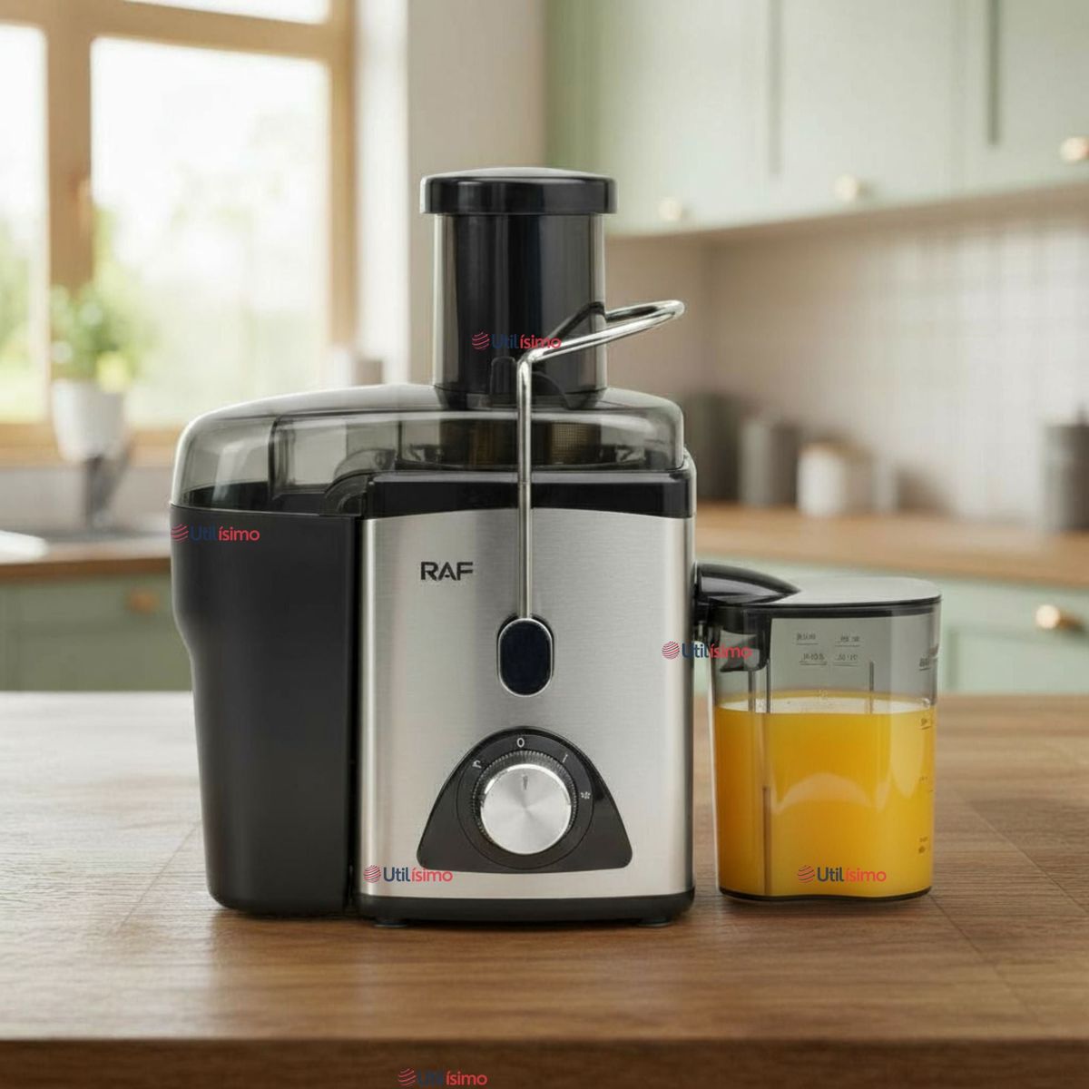 RAF - Extractor Exprimidor Jugos Eléctrico 1000W de Potencia Frutas Verduras