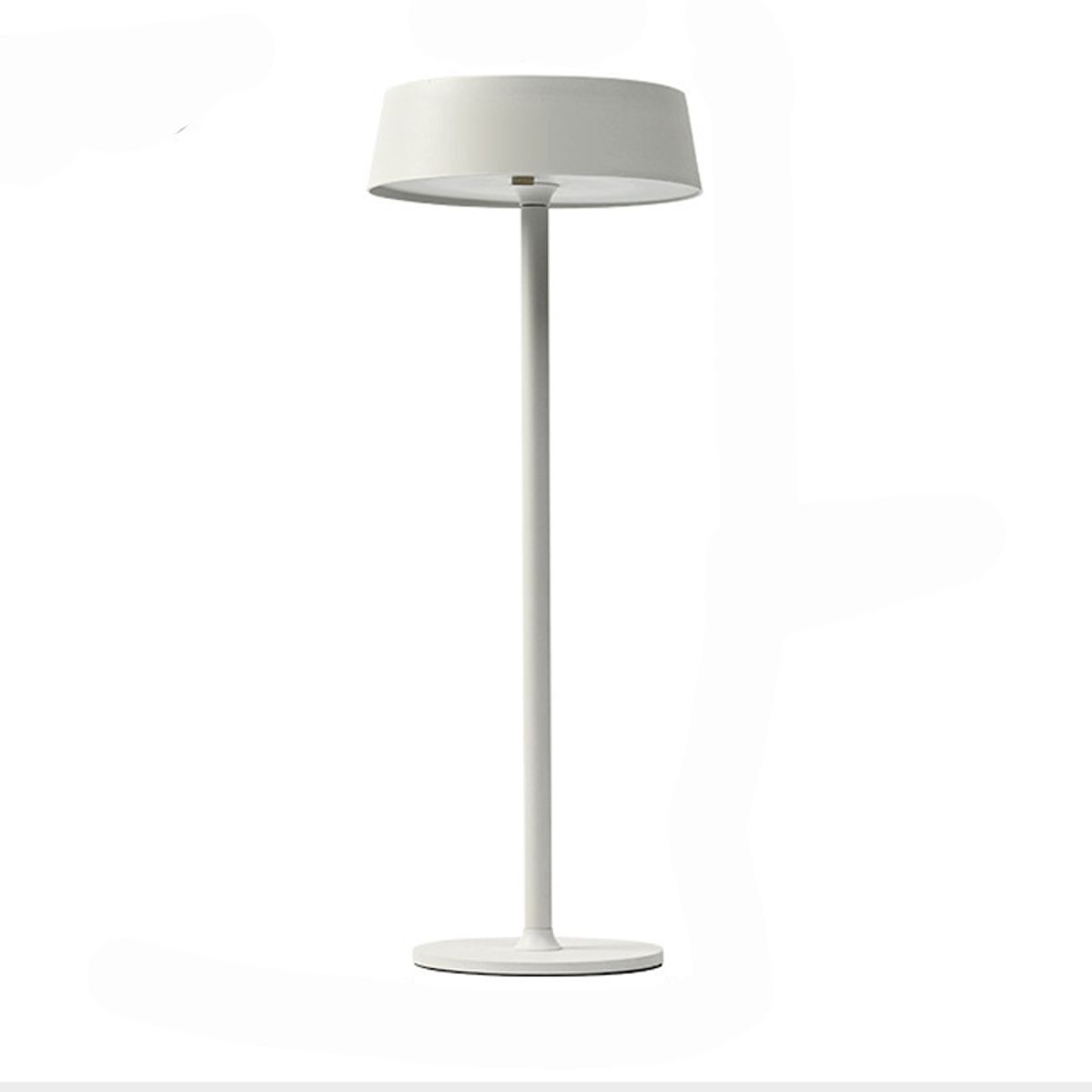 DANWEILE - Luz nocturna ambiental recargable por USB Blanco
