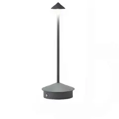 DANWEILE - Luz nocturna ambiental recargable por USB Gris
