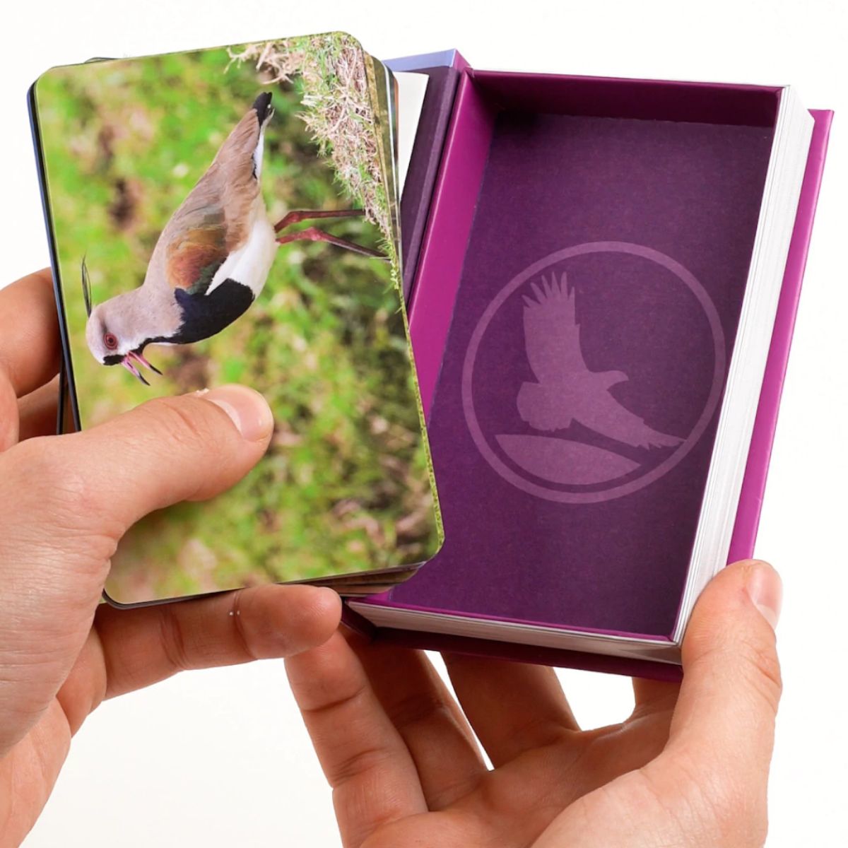 EDITORIAL CONTRAPUNTO - Enciclopedia de aves