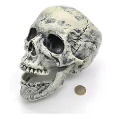 GENERICO - Figura decorativa calavera diseño realista crema