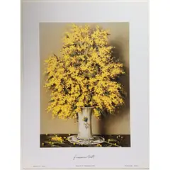 DECO - Lámina De Arte - Flores Por Franco Beth 35x50 Cm