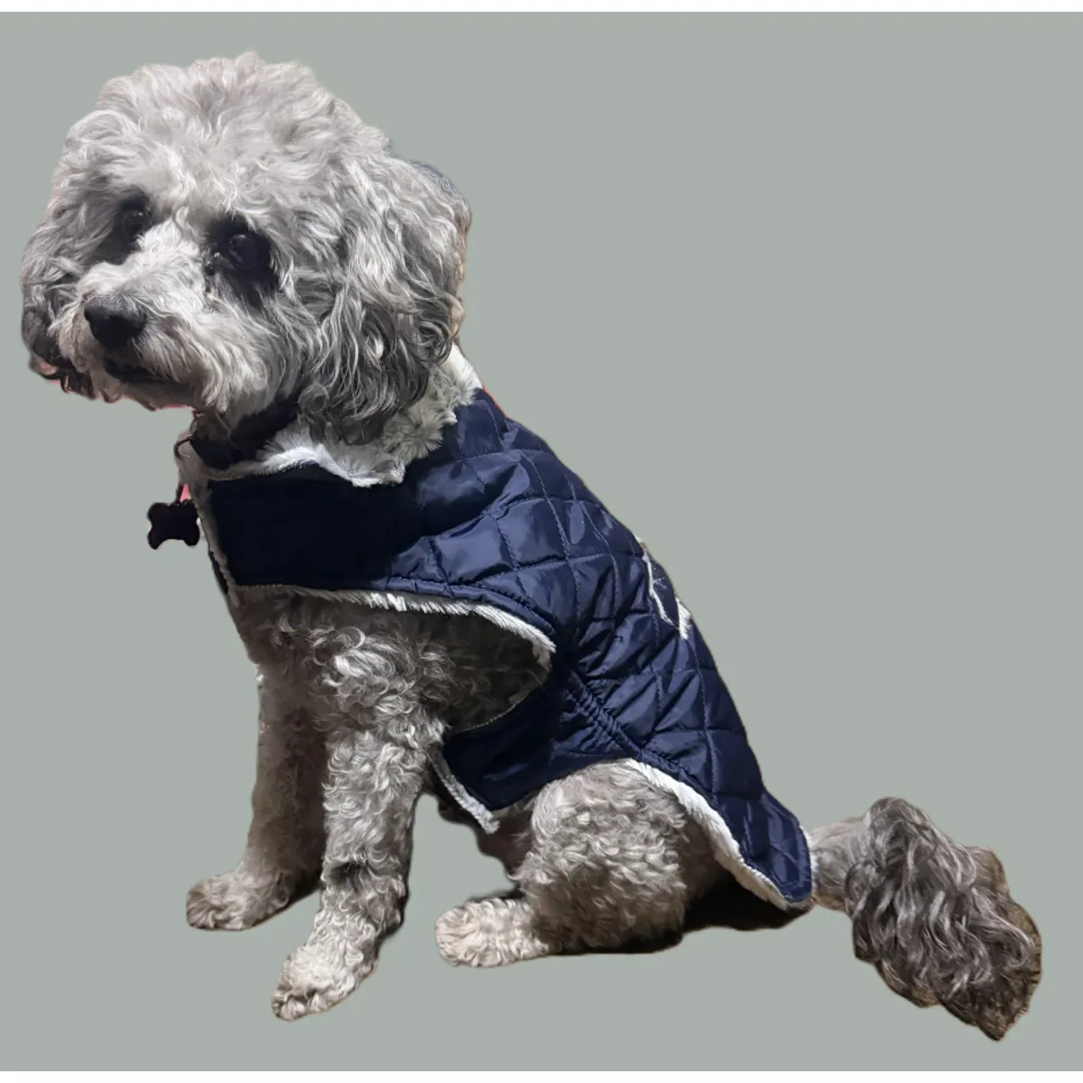 GENERICO - Capa tipo Parka con Cuello para Perros